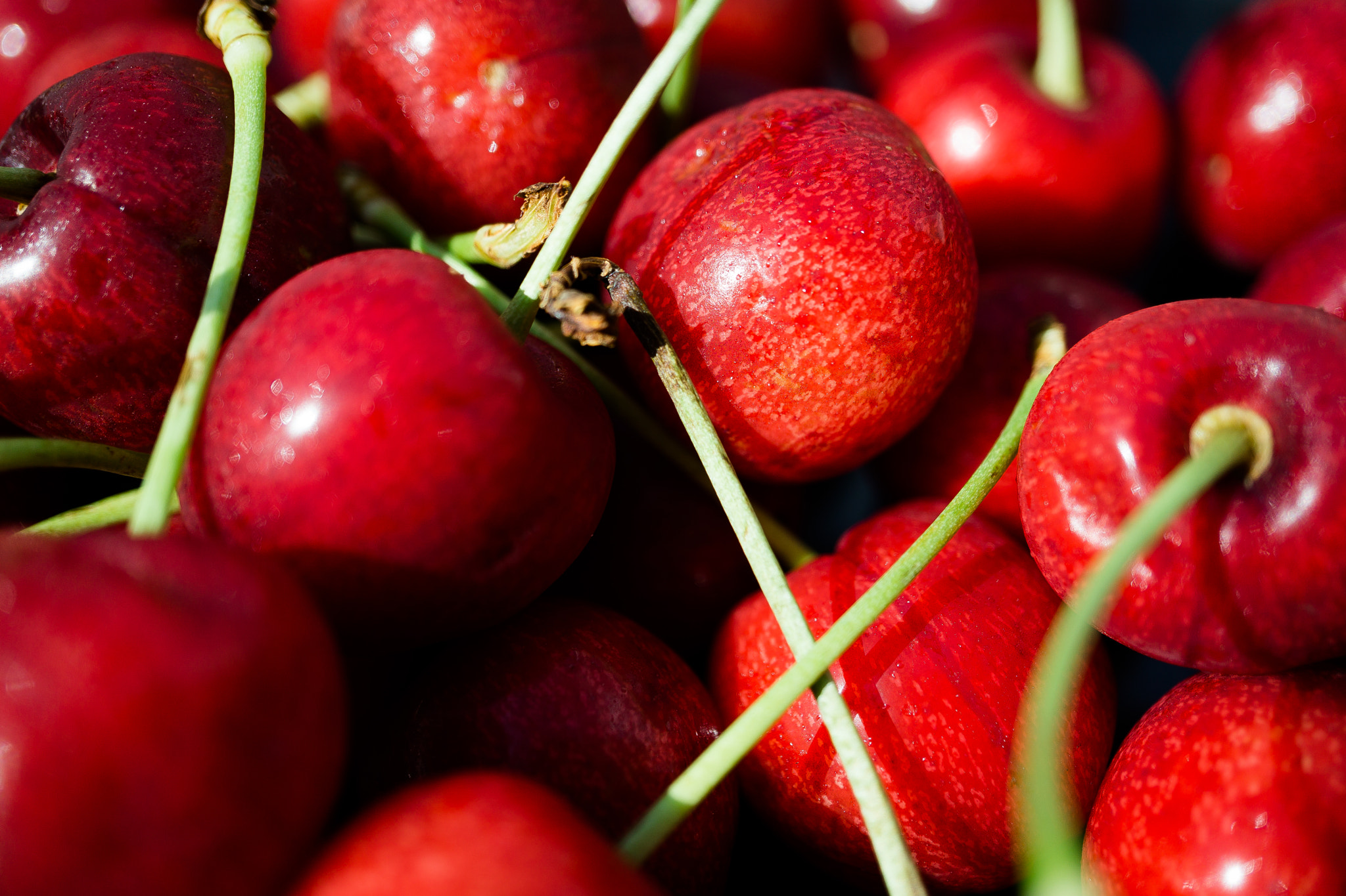 Sony a5100 + Sony E 30mm F3.5 Macro sample photo. Cherries photography