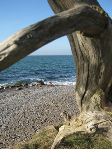 Canon PowerShot A490 sample photo. Favorite spot photography