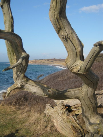 Canon PowerShot A490 sample photo. Favorite spot photography
