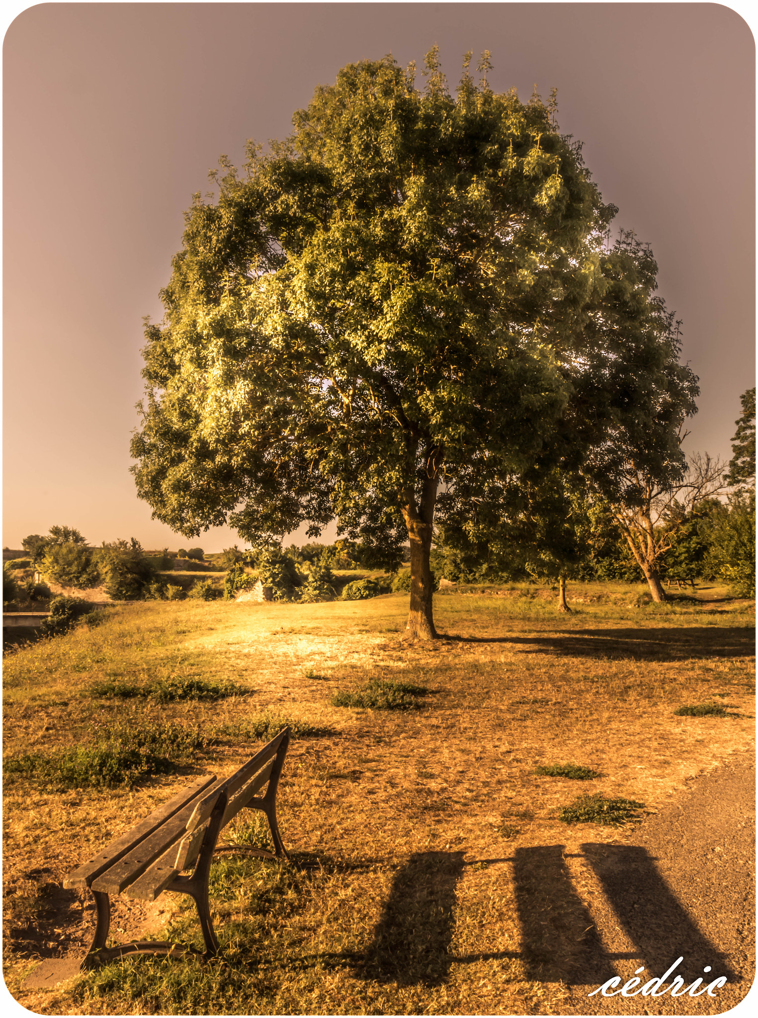 Pentax K-3 II sample photo. Sereinité d'oleron photography