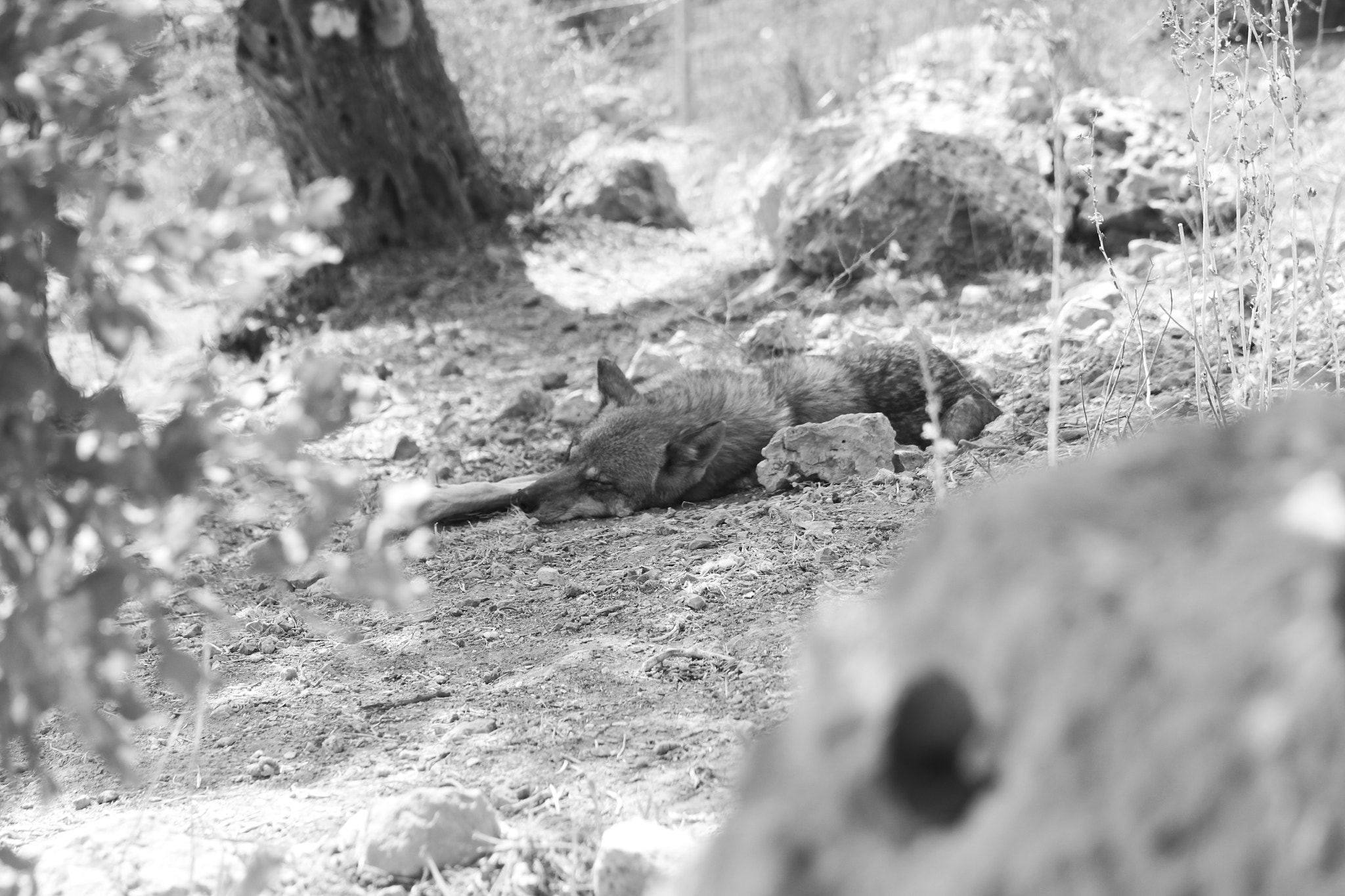 Canon EOS 550D (EOS Rebel T2i / EOS Kiss X4) sample photo. Just 5 more minutes photography