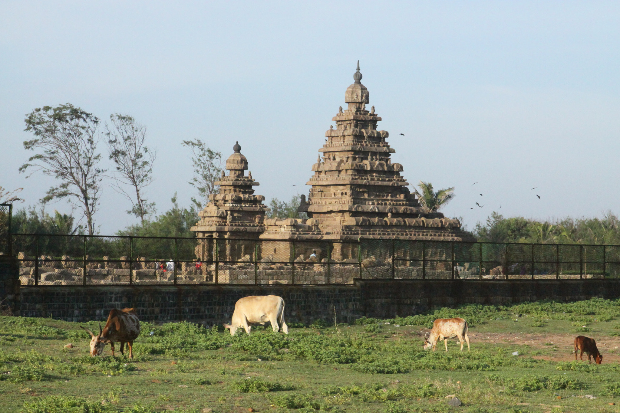 Canon EOS 50D + Canon EF 24-70mm F2.8L USM sample photo. Shore temple photography