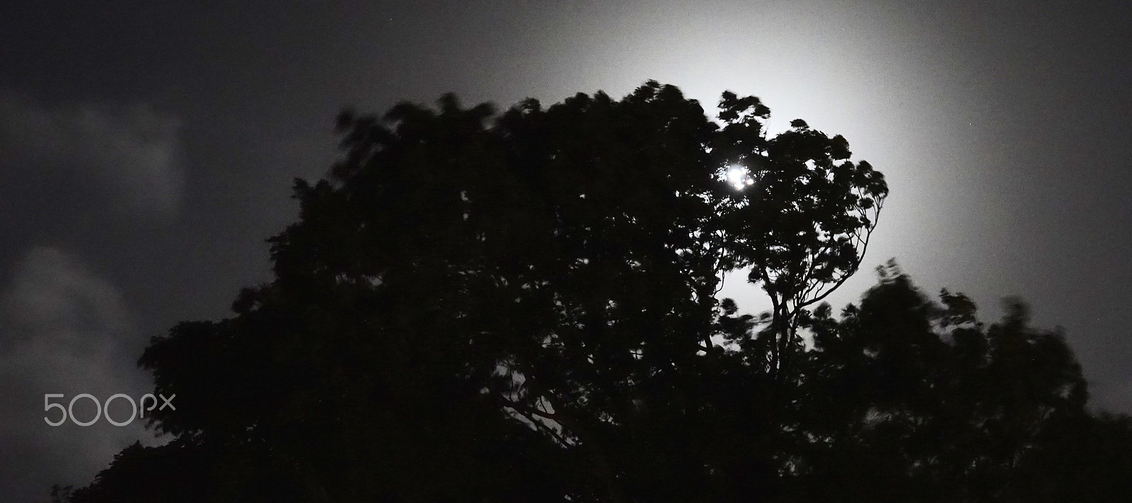 Sony Cyber-shot DSC-RX10 III sample photo. Dark moon rising....... photography