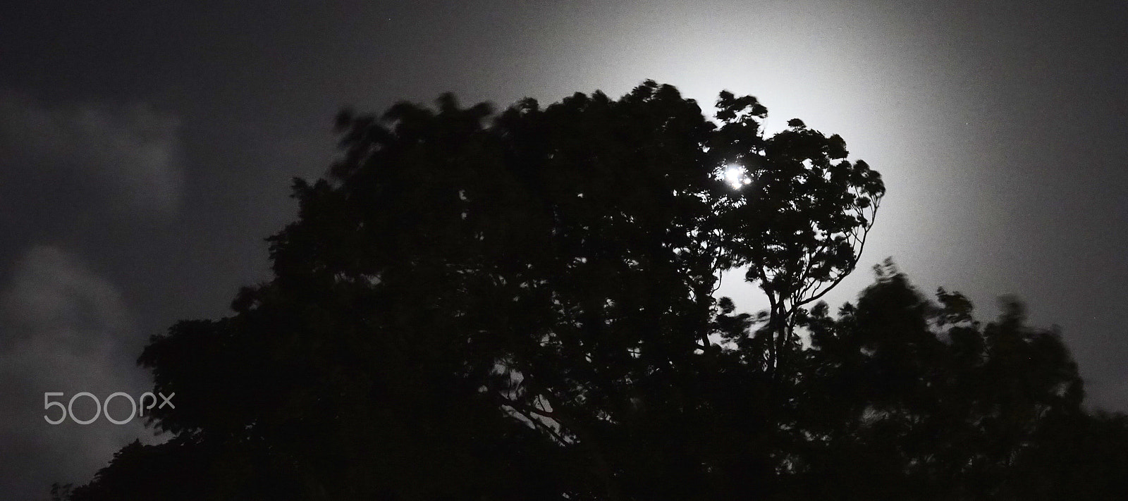 Sony 24-600mm F2.4-4.0 sample photo. Dark moon rising....... photography