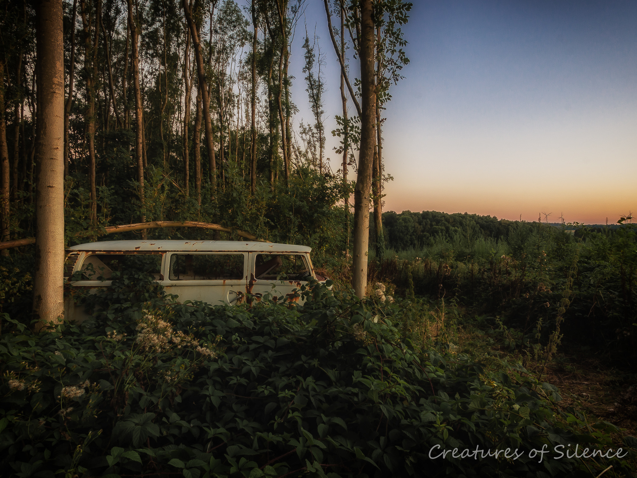 Panasonic Lumix DMC-GH3 + Panasonic Lumix G Vario 7-14mm F4 ASPH sample photo. Lost paradise photography