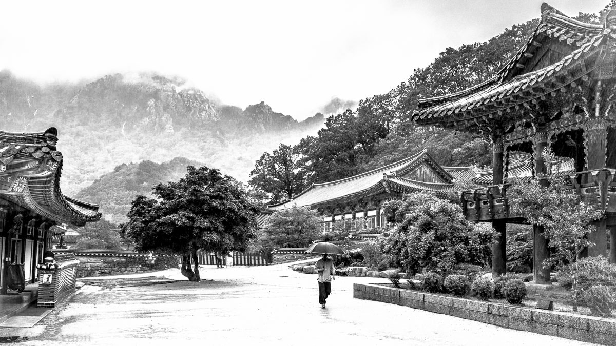 Olympus OM-D E-M5 sample photo. Korean buddhist scene photography