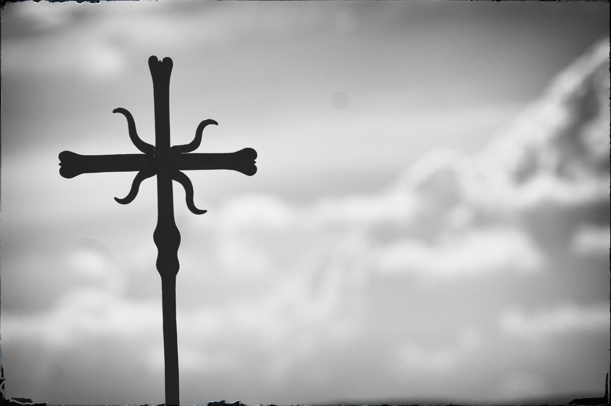 Sony Alpha DSLR-A390 sample photo. Cross photography