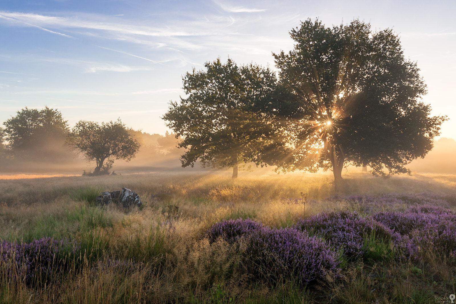 Canon EOS 70D + Canon EF 16-35mm F4L IS USM sample photo. Autumnal lasershow photography