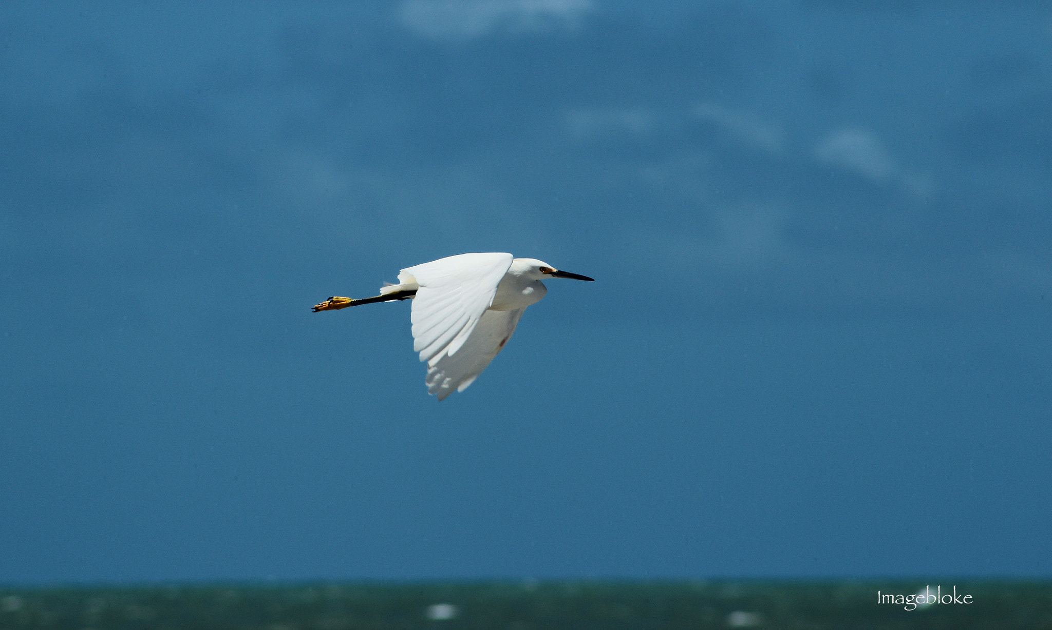Canon EF75-300mm f/4-5.6 sample photo. Www.imagebloke.blogspot.com photography