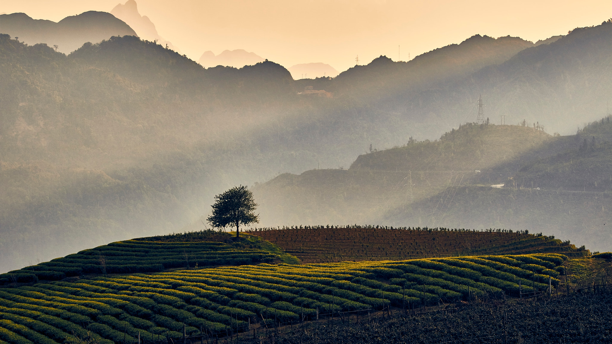 Canon EF-S 55-250mm F4-5.6 IS sample photo. Sunset in vietnam, sapa photography