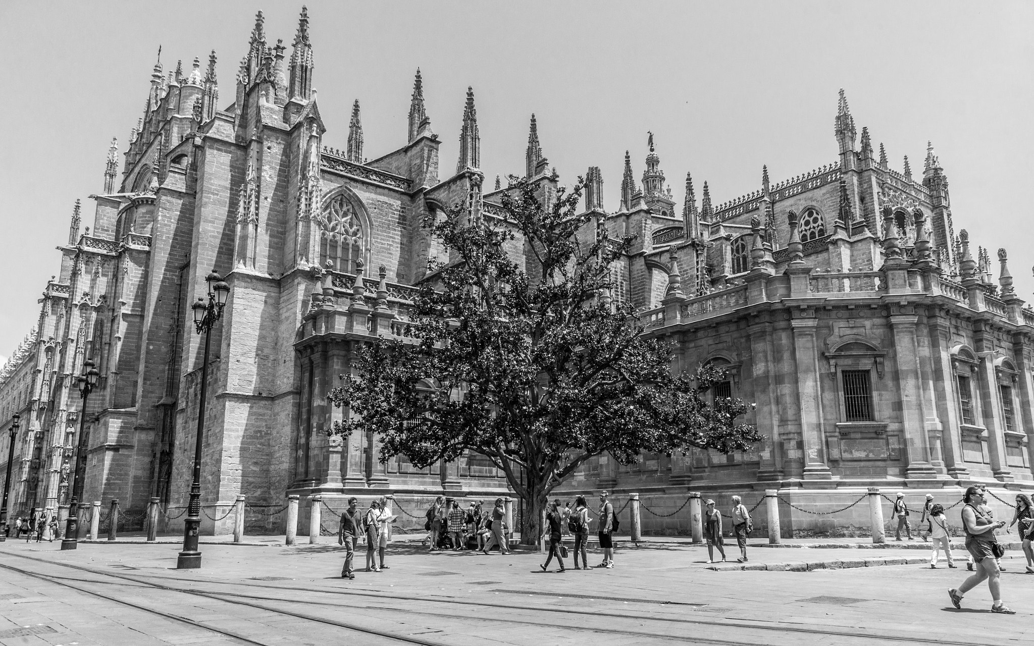 Sony Alpha NEX-F3 + Sony E 10-18mm F4 OSS sample photo. Spain. sevilla. photography