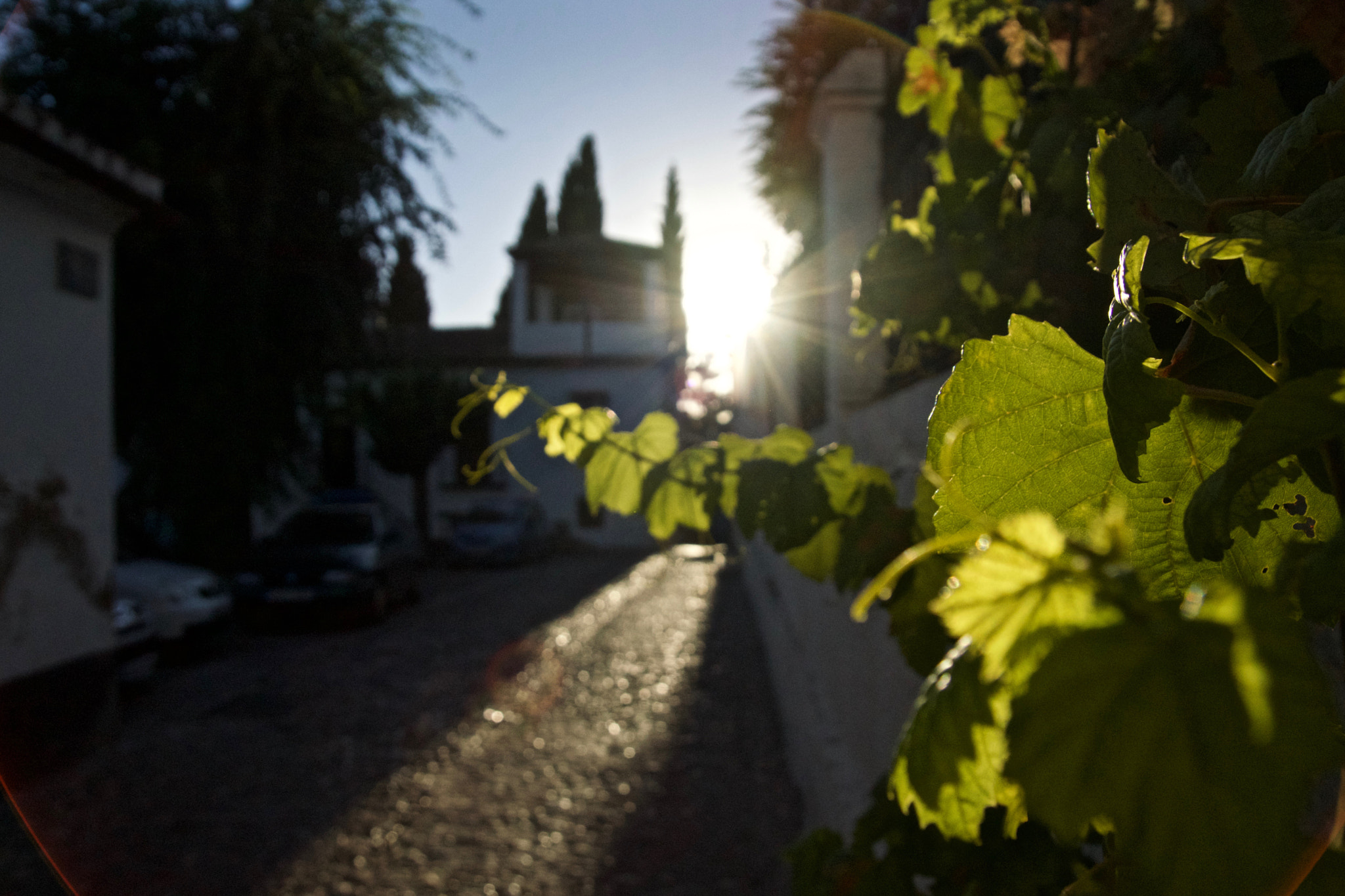 Sony SLT-A77 sample photo. Sunset @ albayzín photography