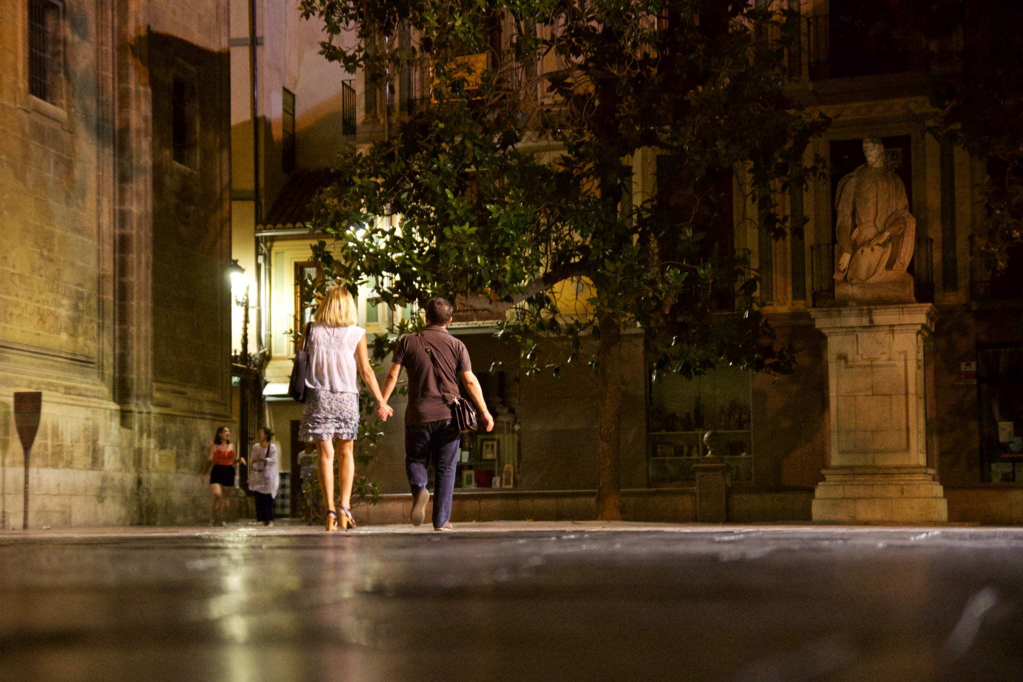 Sony SLT-A77 sample photo. Taking a stroll in granada photography