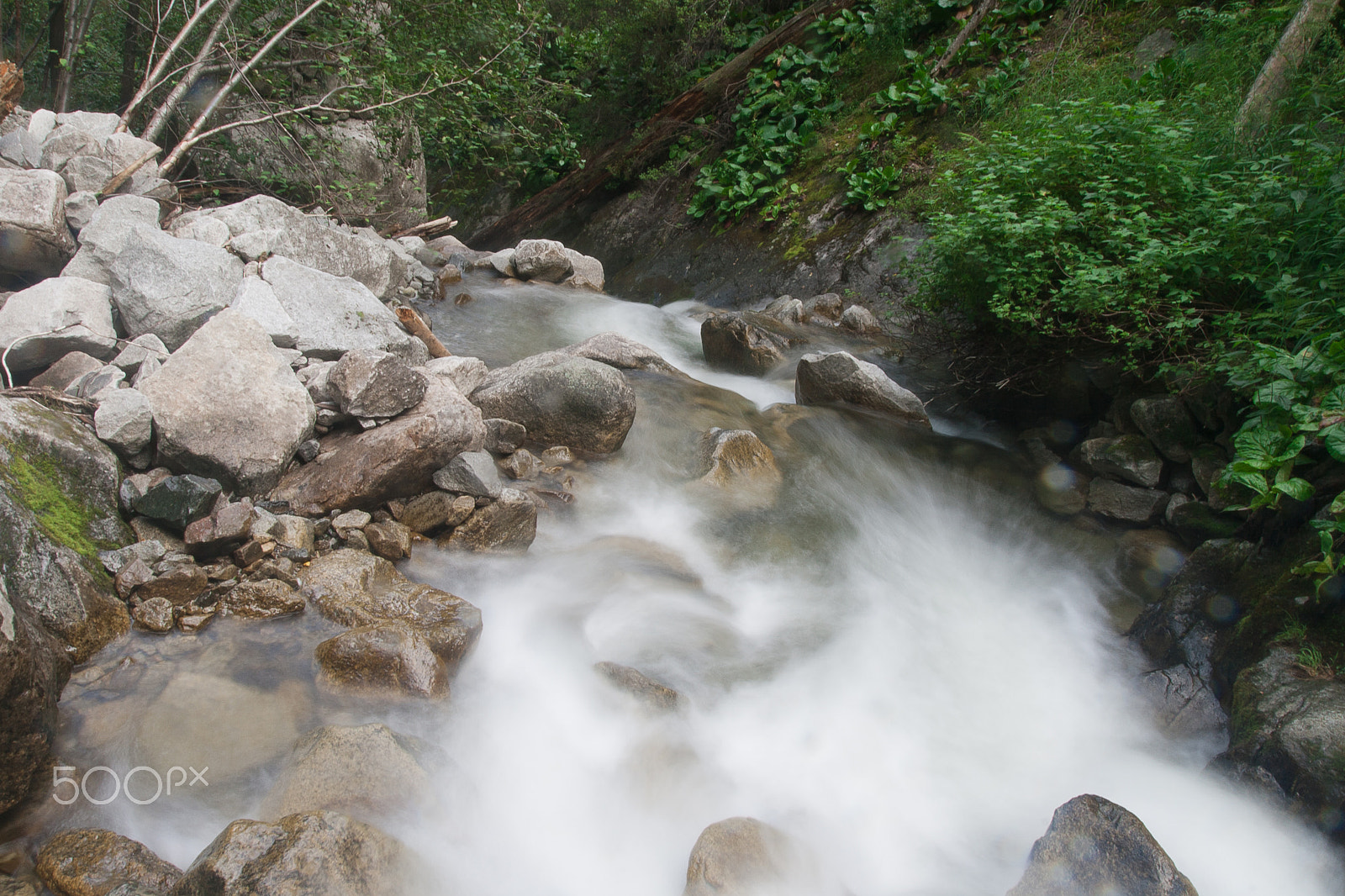 Tamron SP AF 17-50mm F2.8 XR Di II LD Aspherical (IF) sample photo. Img photography