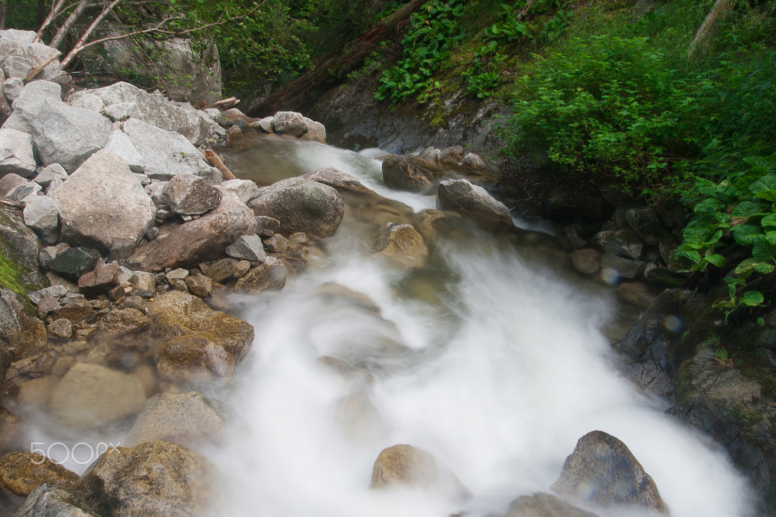 Tamron SP AF 17-50mm F2.8 XR Di II LD Aspherical (IF) sample photo. Img photography