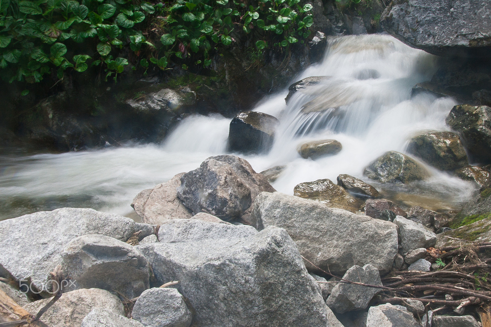 Tamron SP AF 17-50mm F2.8 XR Di II LD Aspherical (IF) sample photo. Img photography