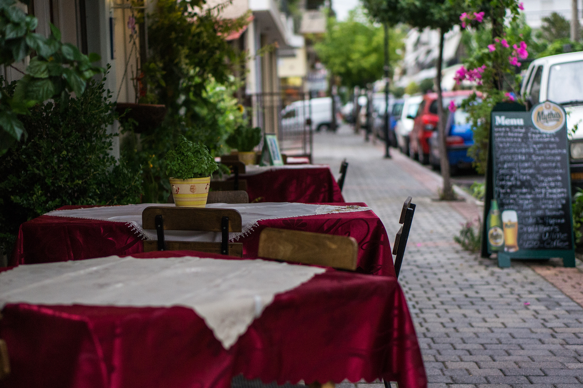Sony Alpha NEX-5N + E 50mm F1.8 OSS sample photo. * photography