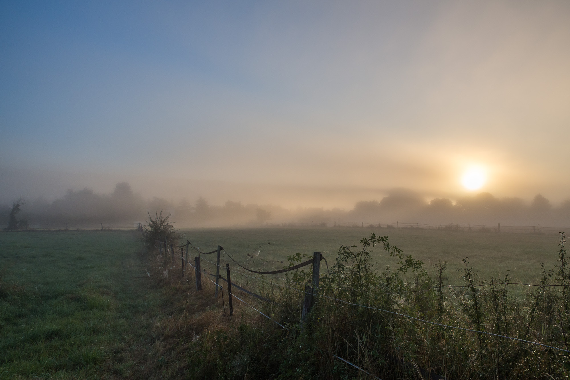 Olympus OM-D E-M10 + OLYMPUS M.12mm F2.0 sample photo. Misty sunrise photography