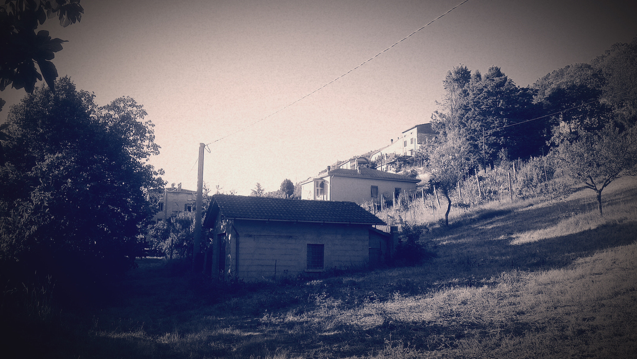 HTC ONE X sample photo. 7610522428.jpg photography