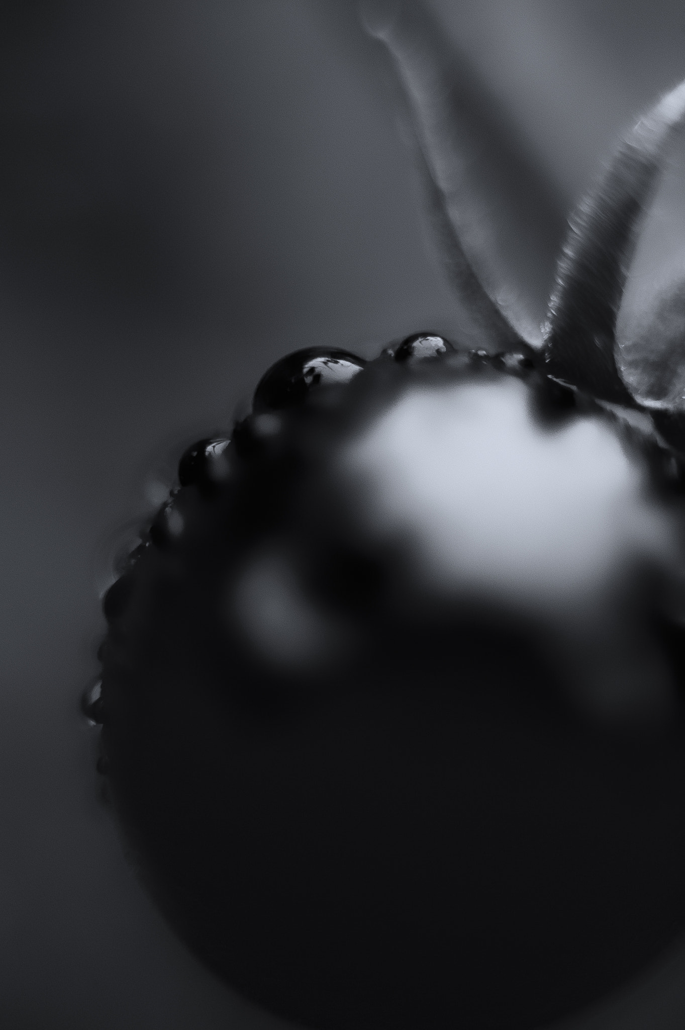 Nikon D3 + Nikon AF-S Nikkor 50mm F1.8G sample photo. Truth without artifice photography