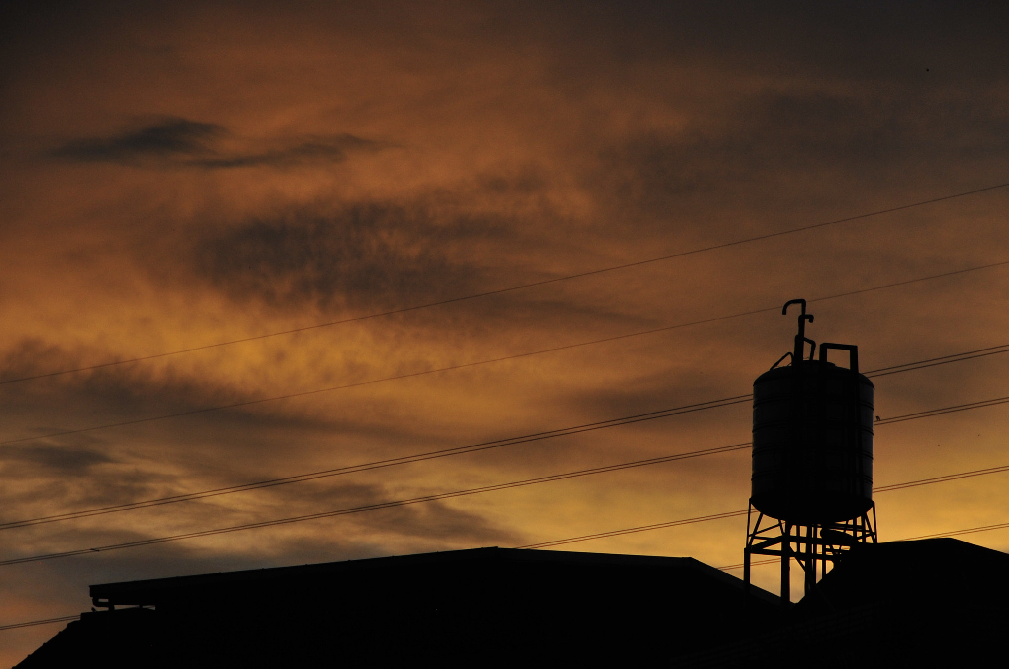 Nikon D3 sample photo. .. photography