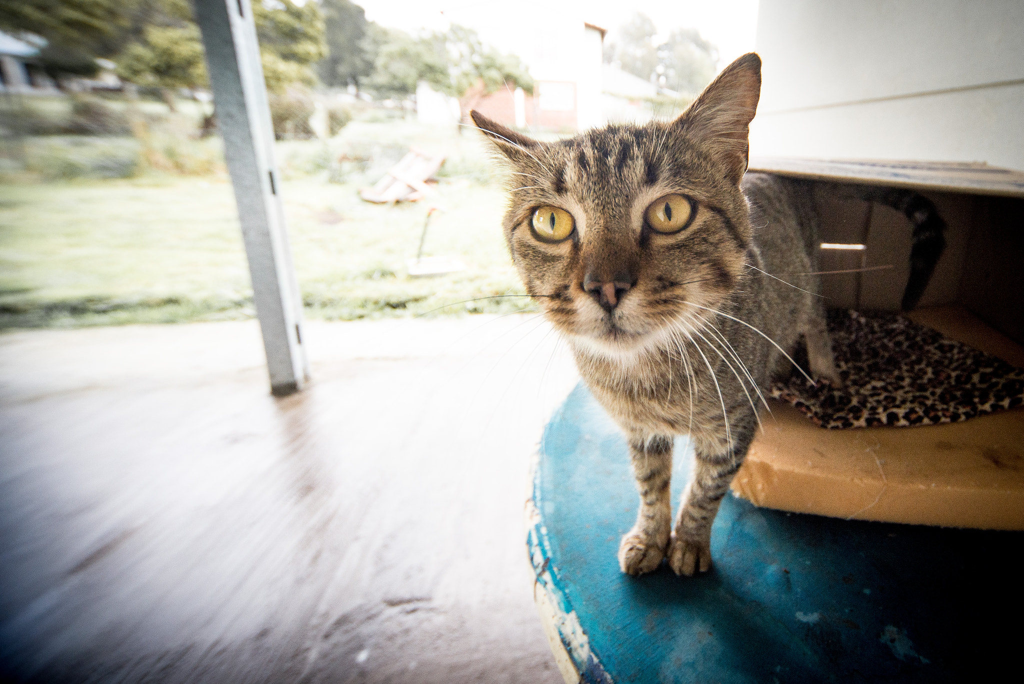 Sigma 12-24mm F4.5-5.6 EX DG Aspherical HSM sample photo. Pedrito photography