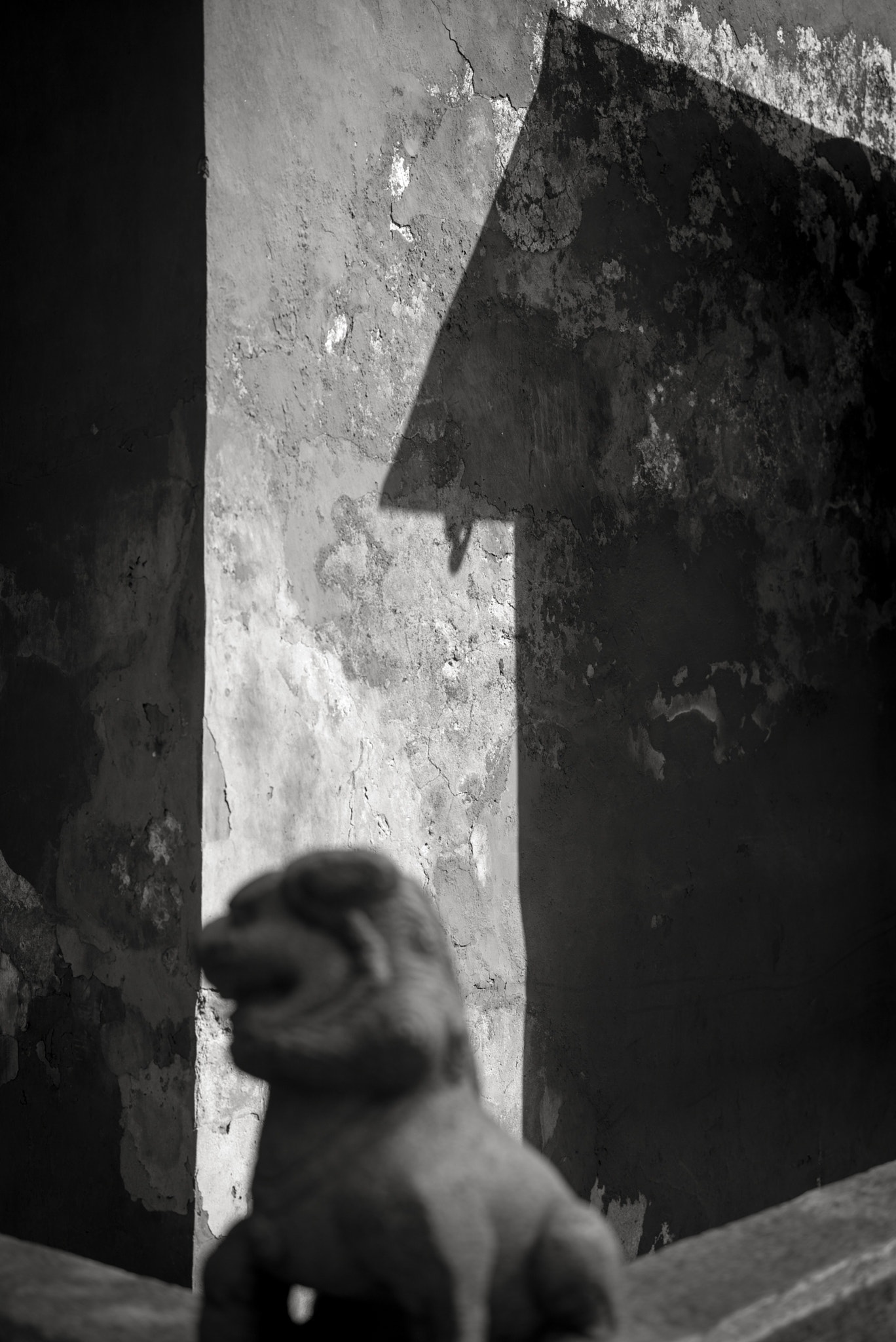 Leica APO-Summicron-M 50mm F2 ASPH sample photo. The daxiangguo temple photography