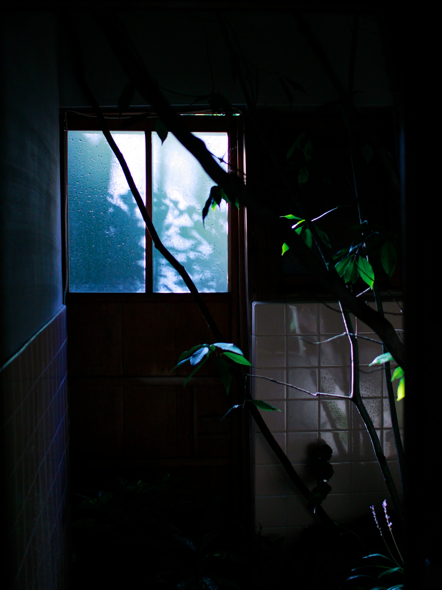 Sigma 30mm F1.4 EX DC HSM sample photo. Hikari photography