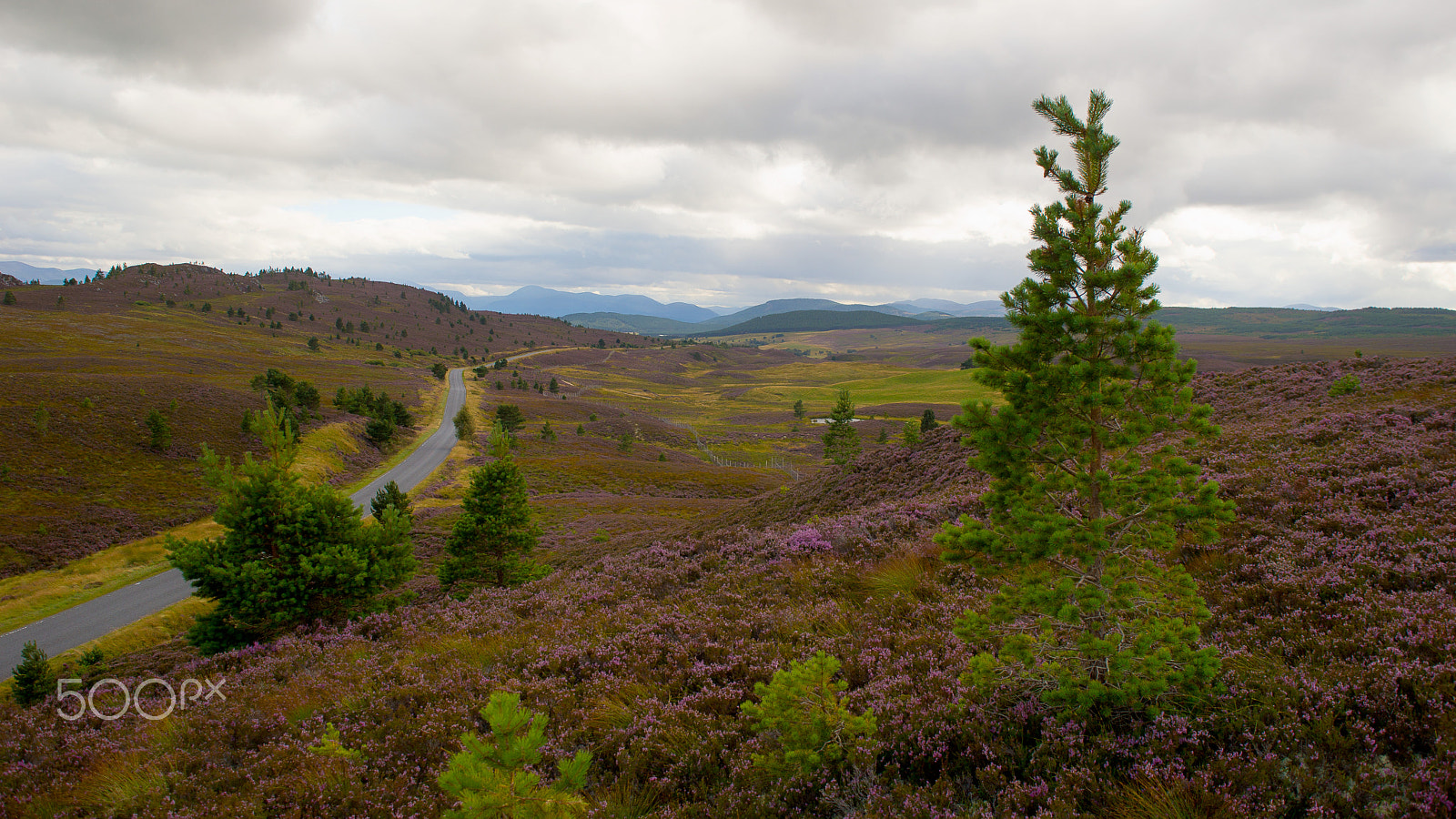 Sigma 28-70mm EX DG F2.8 sample photo. My heart's in the highlands at the break of dawn photography