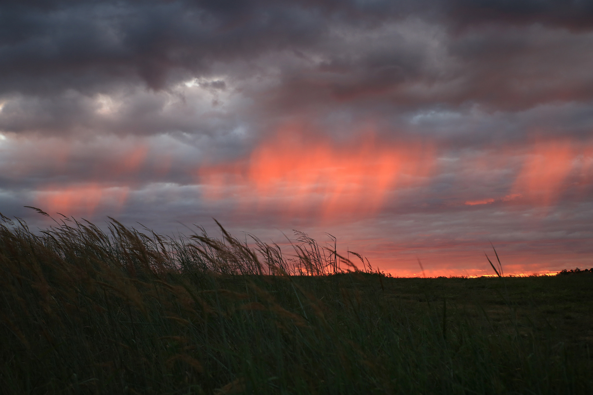 Canon 24-70mm sample photo
