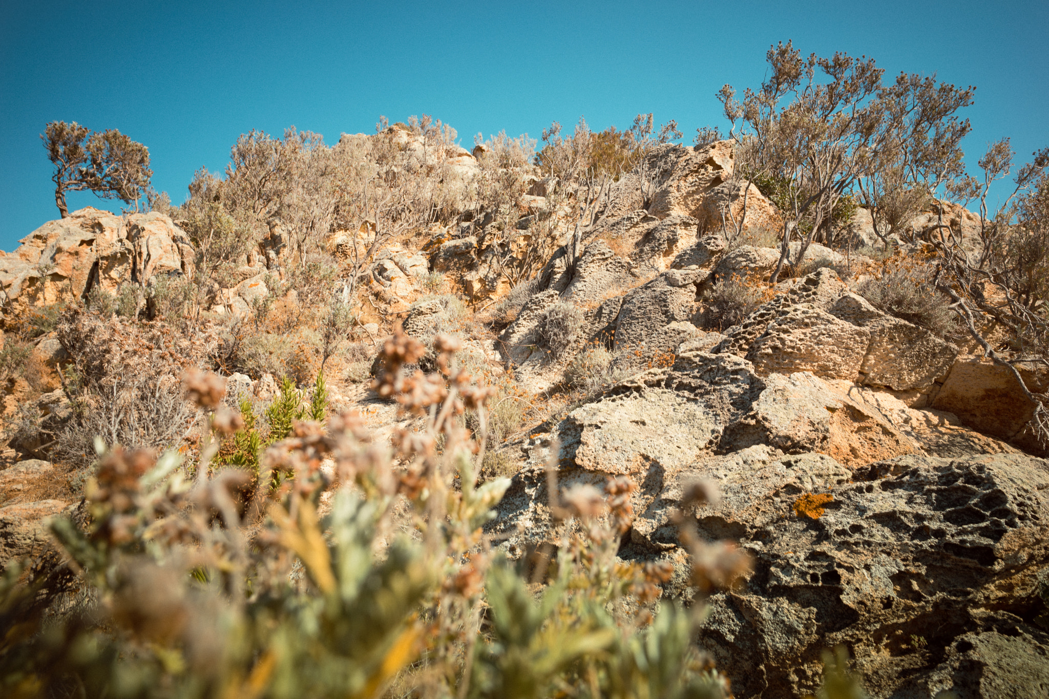 Sony a7 + E 21mm F2.8 sample photo. Untitled rocks 1 photography