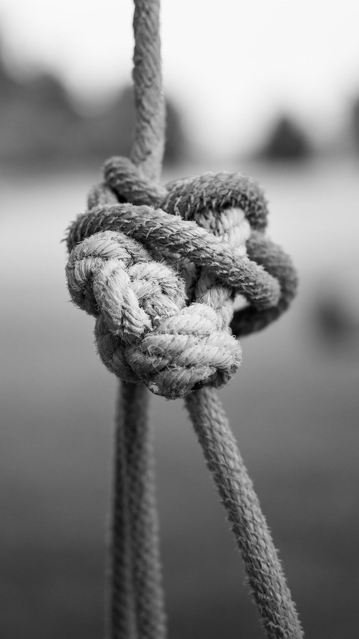 Leica APO-Summicron-M 50mm F2 ASPH sample photo. Rope swing photography
