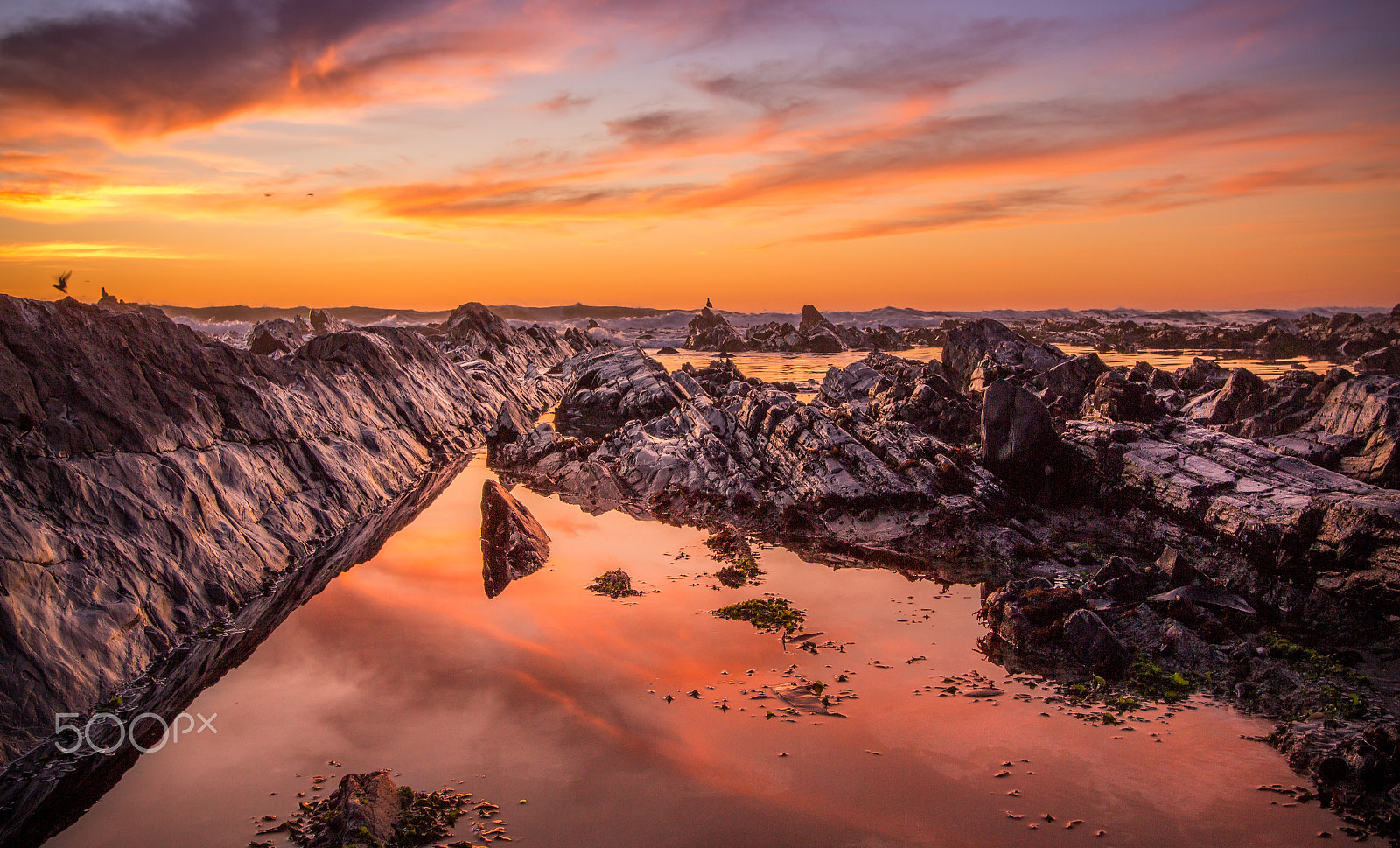 Canon EF-S 10-22mm F3.5-4.5 USM sample photo. Low tide photography