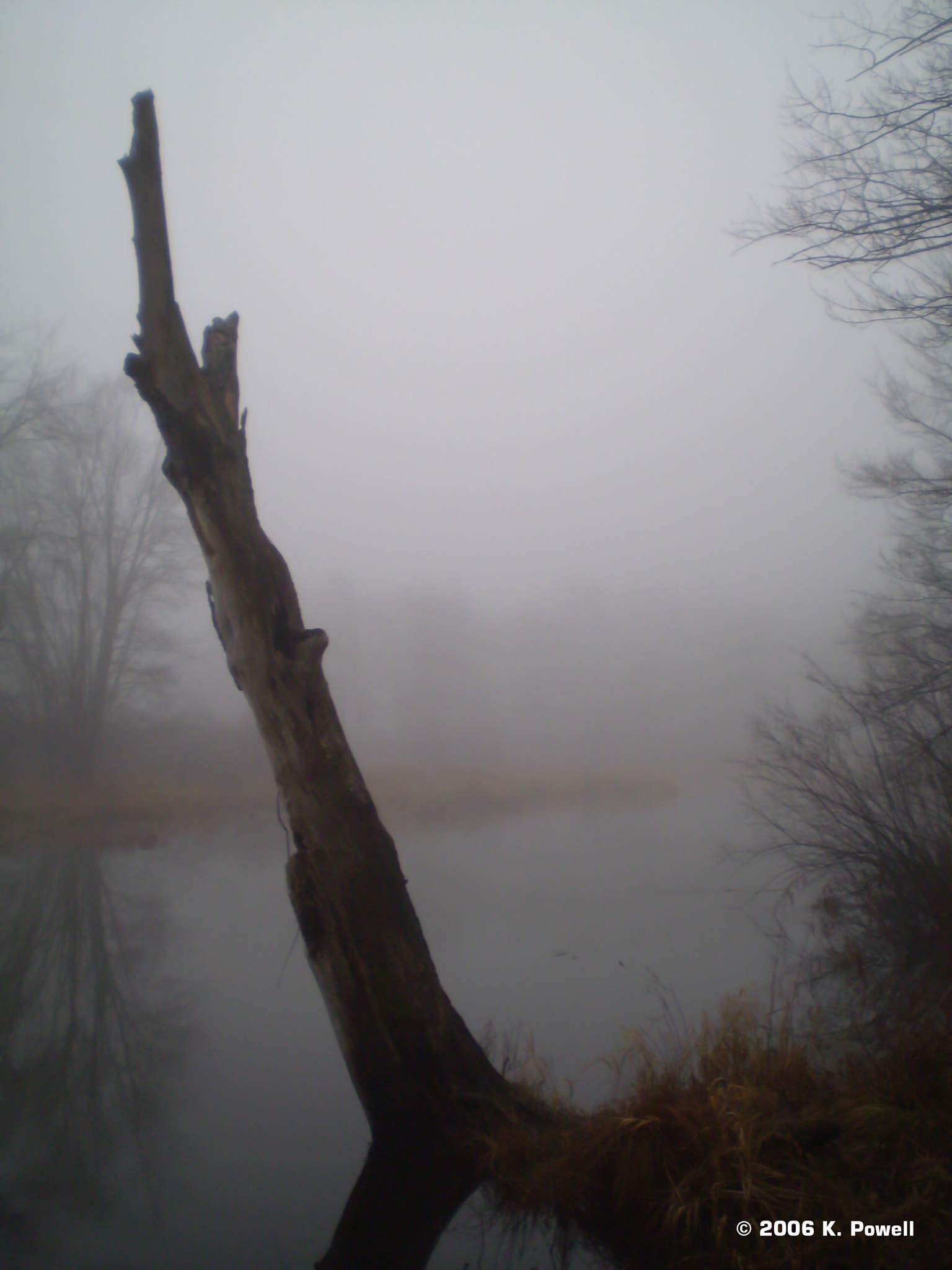 Olympus FE170,X760 sample photo. Fog photography
