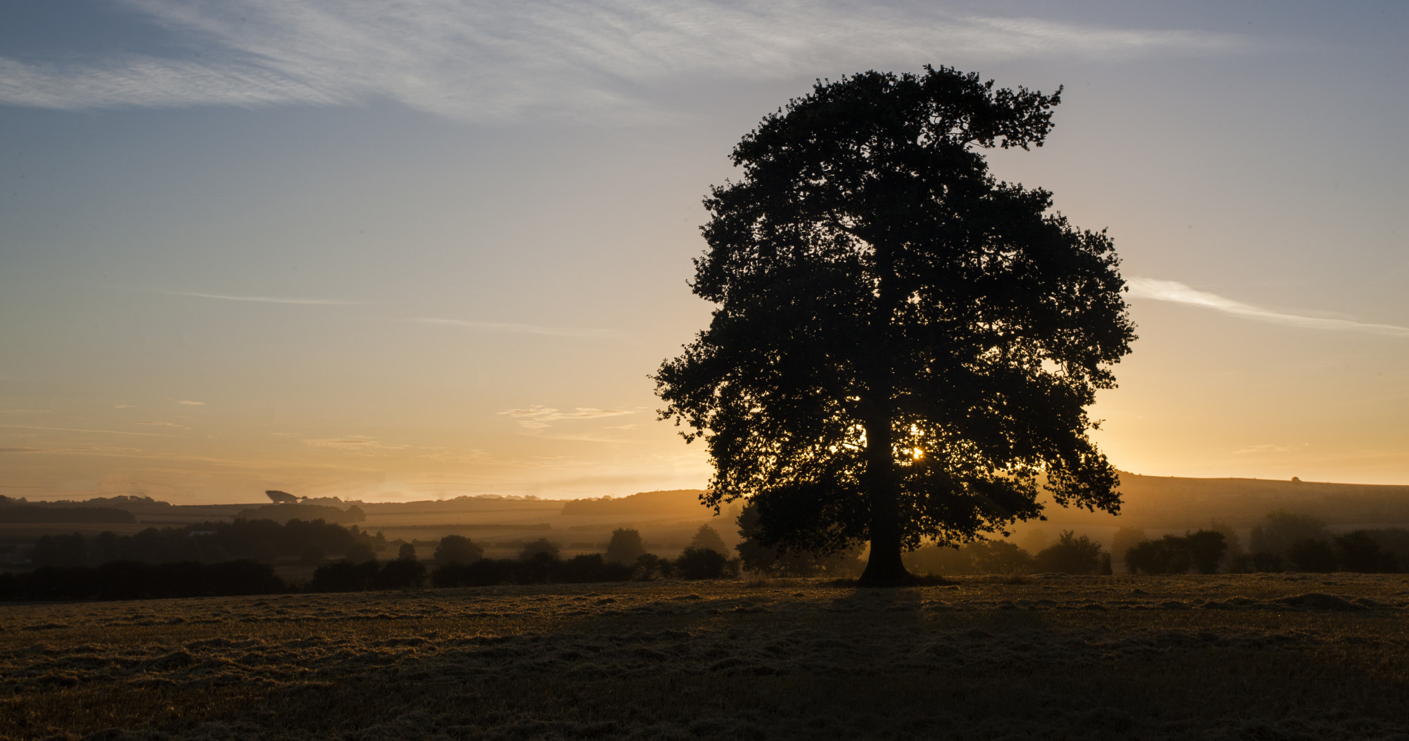 Canon EOS-1Ds Mark III sample photo. First rays of sun in the wild photography