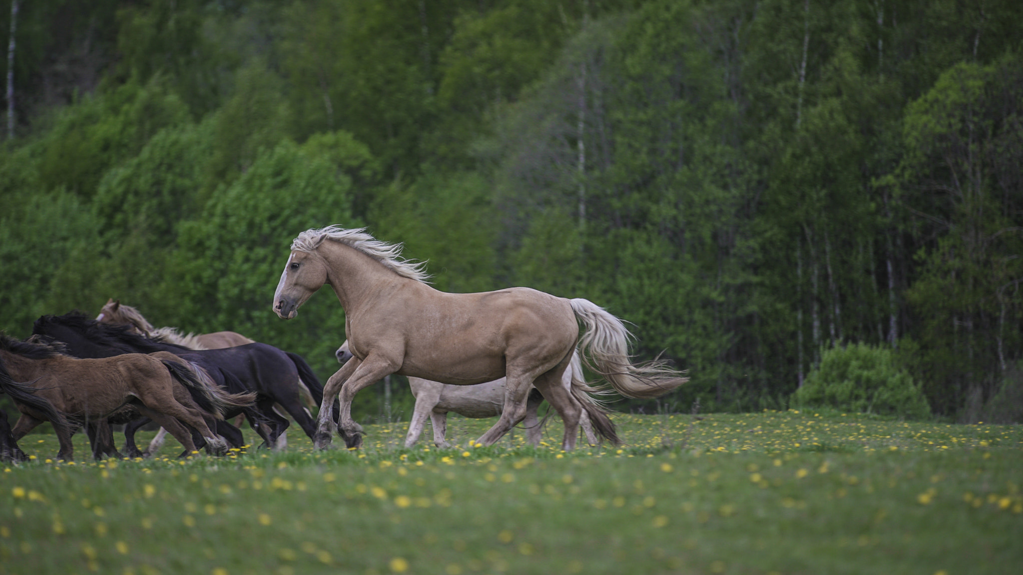 Sony a7S + Sony DT 50mm F1.8 SAM sample photo. Such power, much beauty photography
