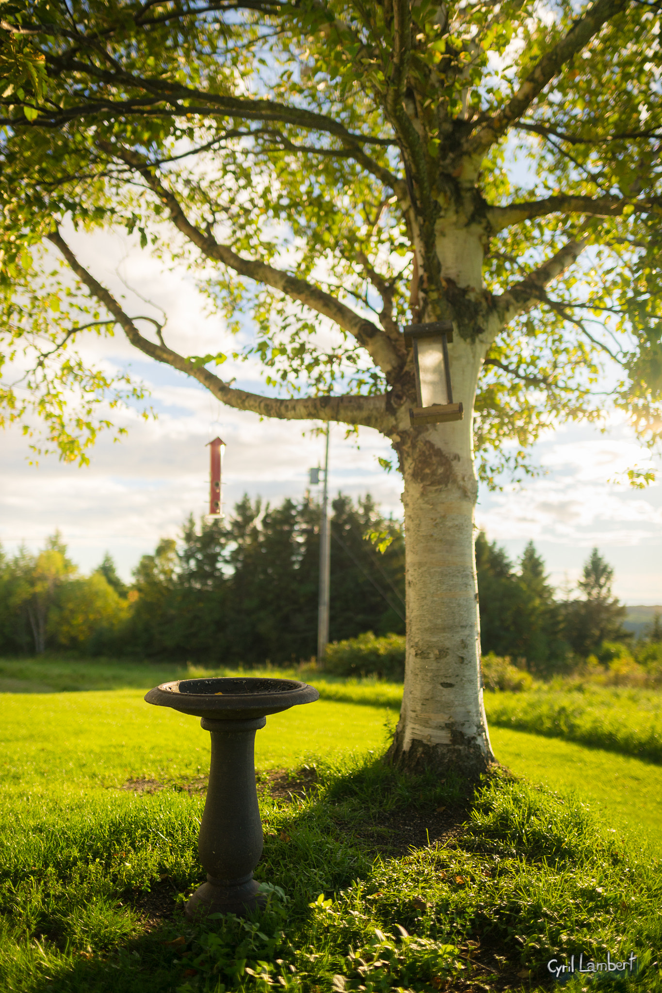 Sony a7 + Sigma 24mm F1.4 DG HSM Art sample photo. Memories of a relaxing moment photography