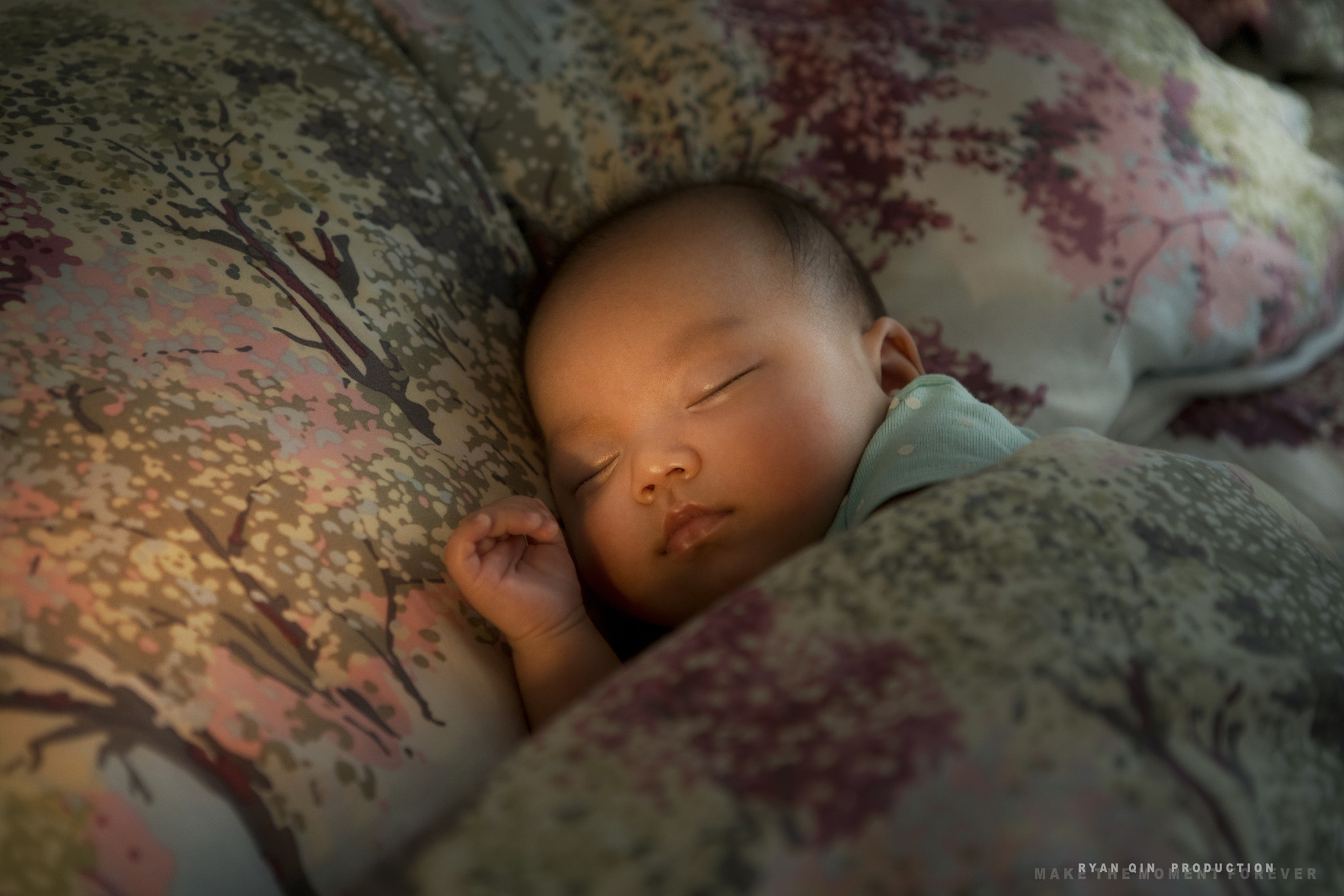 Sony a7R II + Canon EF 24-70mm F2.8L USM sample photo