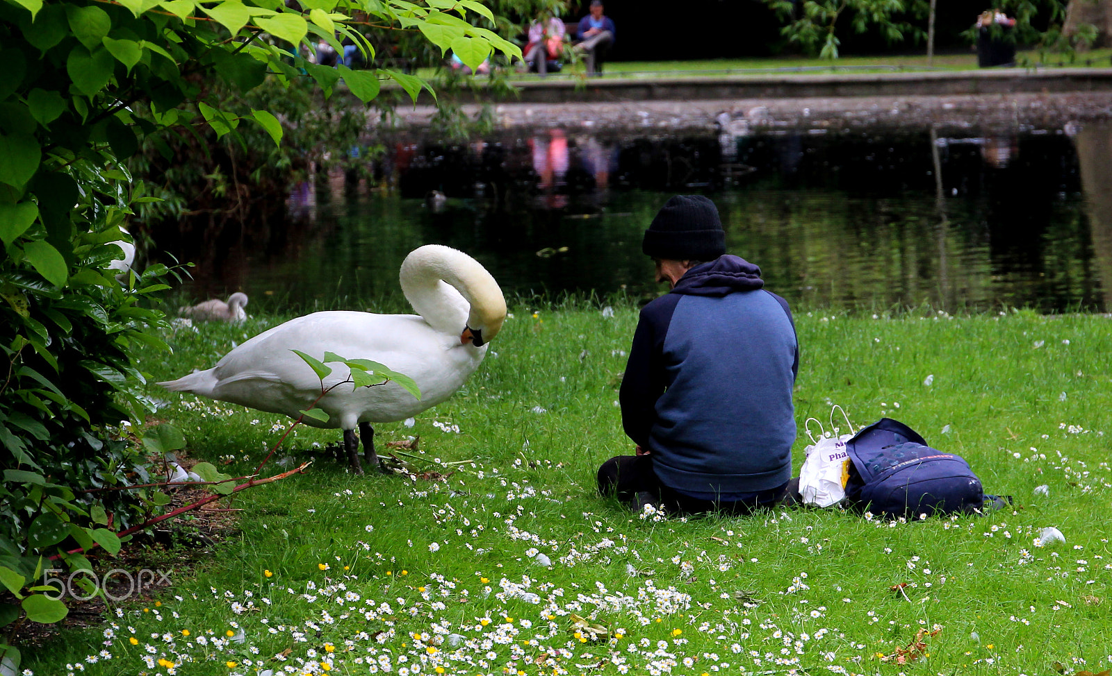 Canon EF 24-70mm F4L IS USM sample photo. We are all birds #1 : smile on his face photography