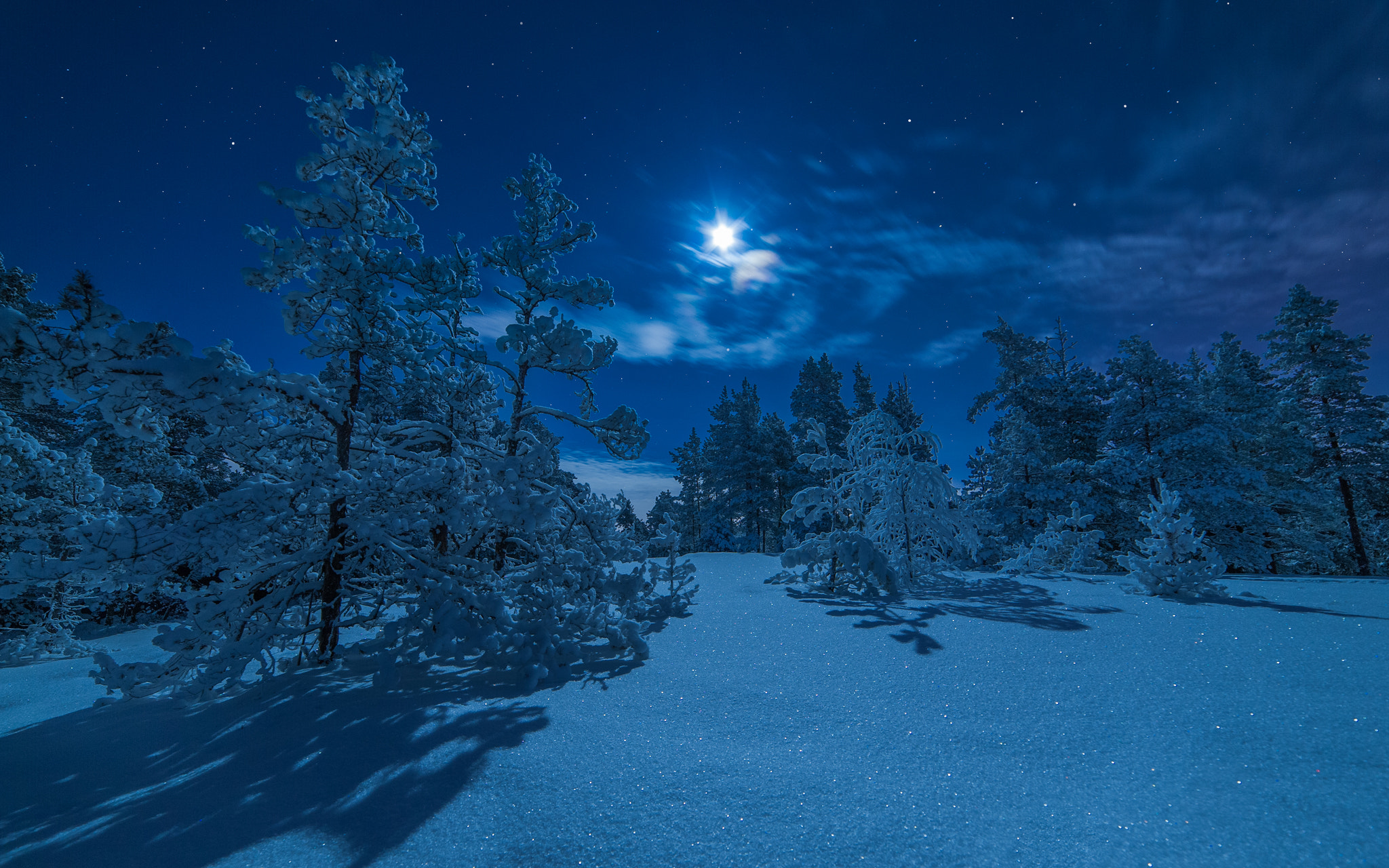 Nikon D3 sample photo. Winter night photography