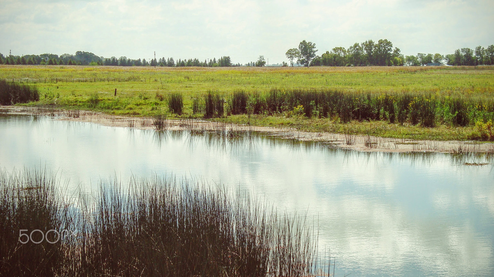 Sony Cyber-shot DSC-W110 sample photo. Lagoon with grassland and trees photography