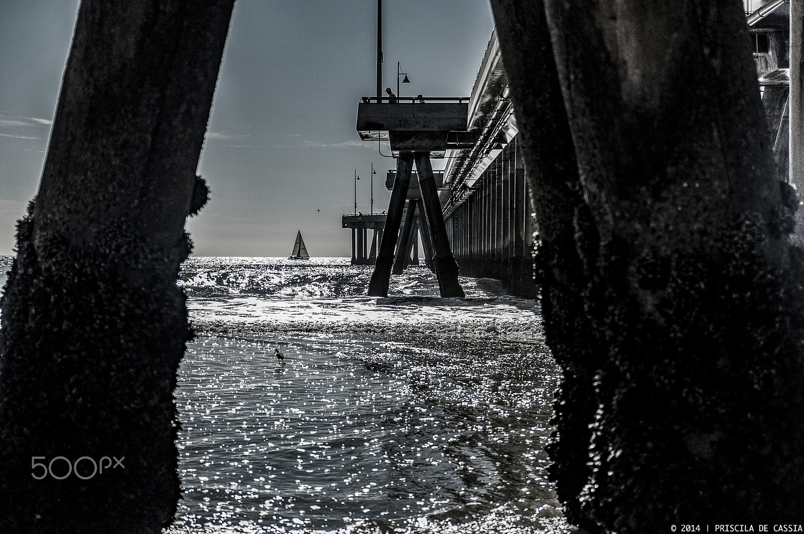 Nikon D90 + Sigma 18-50mm F2.8 EX DC Macro sample photo. Santa monica's pier photography