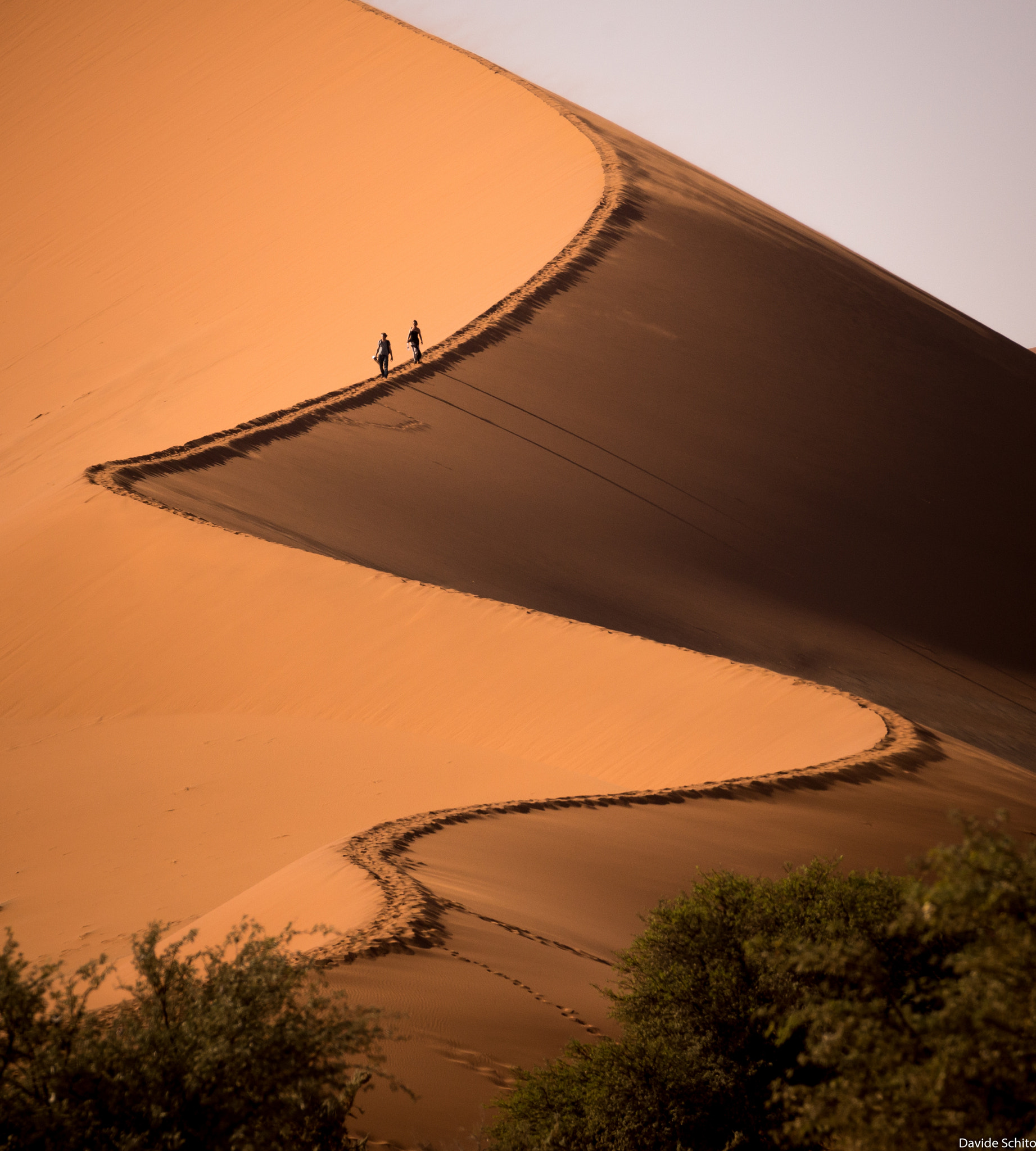 Nikon D600 sample photo. Curve lines photography
