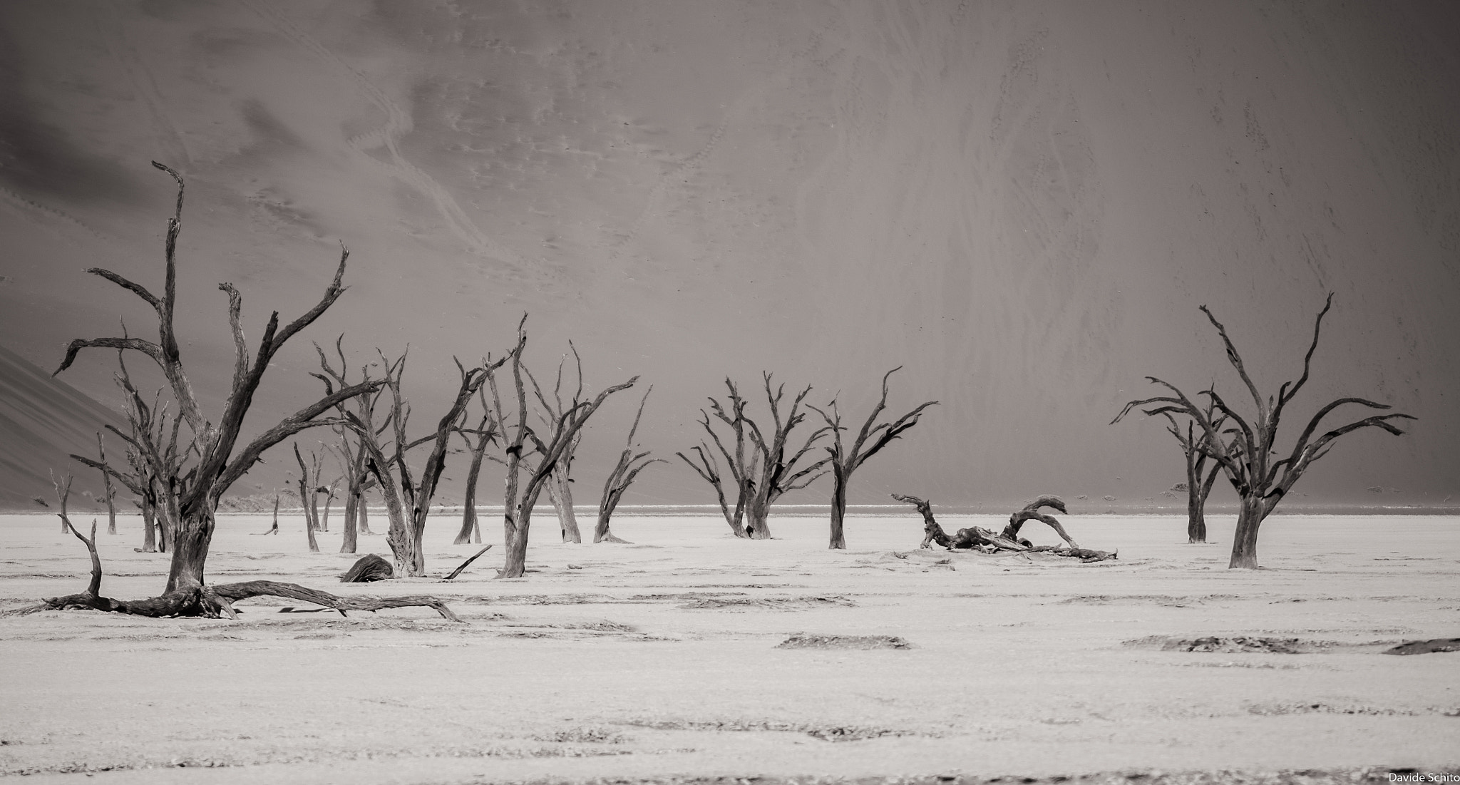 Nikon D600 sample photo. Deadvlei in b&w photography