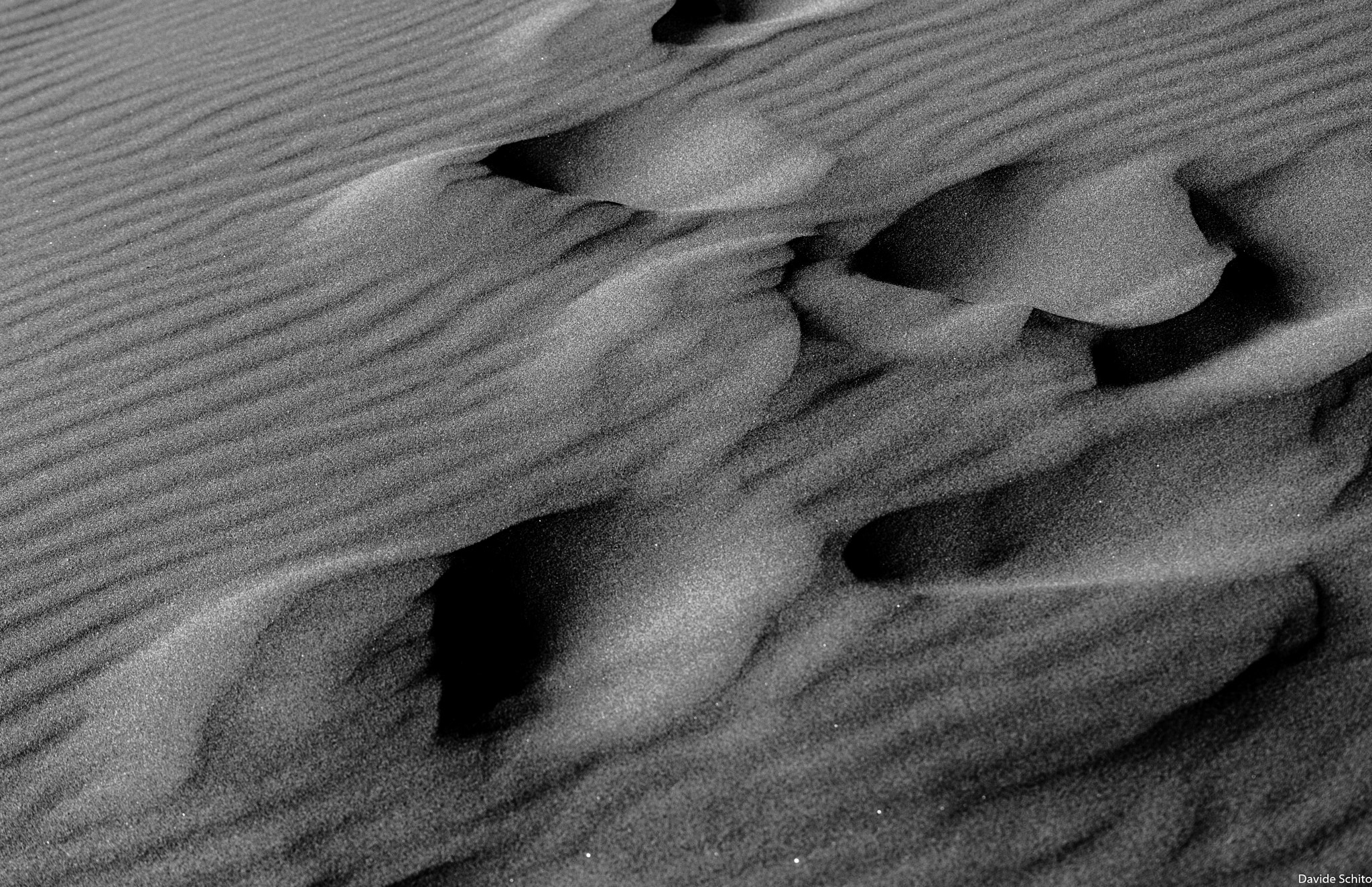 Nikon D600 sample photo. Sand dune (dune 45) photography