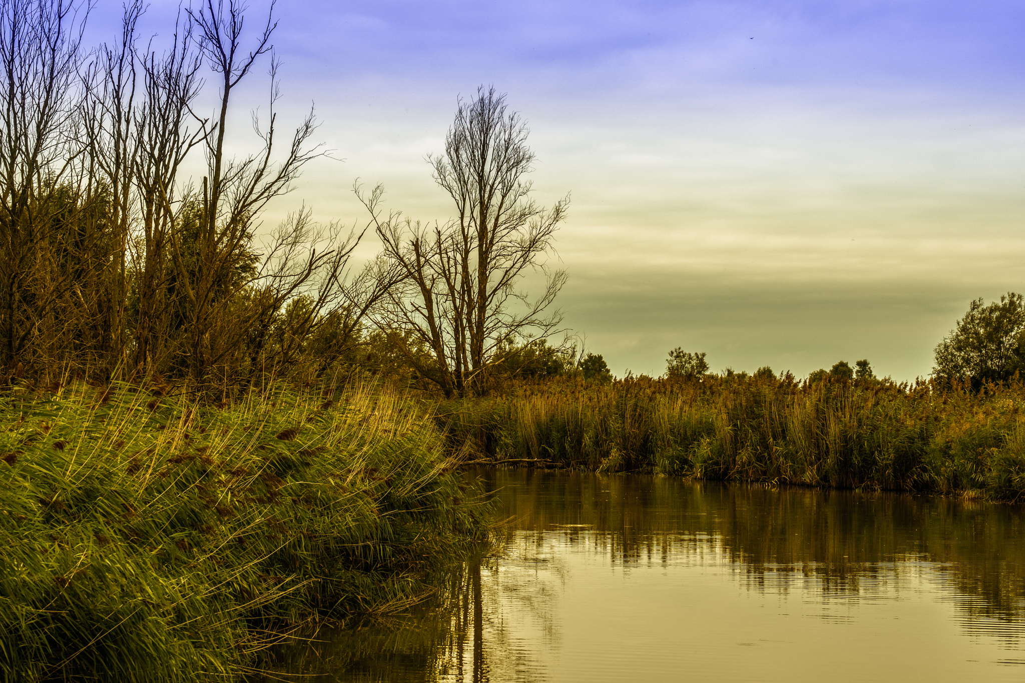 Fujifilm X-Pro2 + Fujifilm XC 50-230mm F4.5-6.7 OIS sample photo. Dutch landscape photography