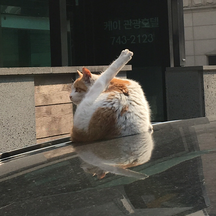 Apple iPhone8,1 sample photo