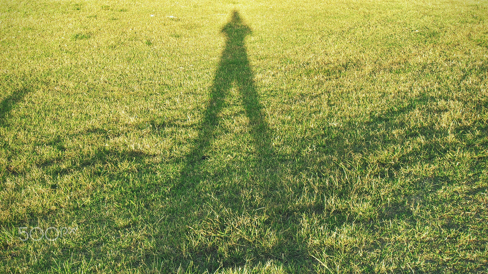 Samsung PL50 / VLUU PL50 /  SL202 sample photo. A-like human shadow over grass photography