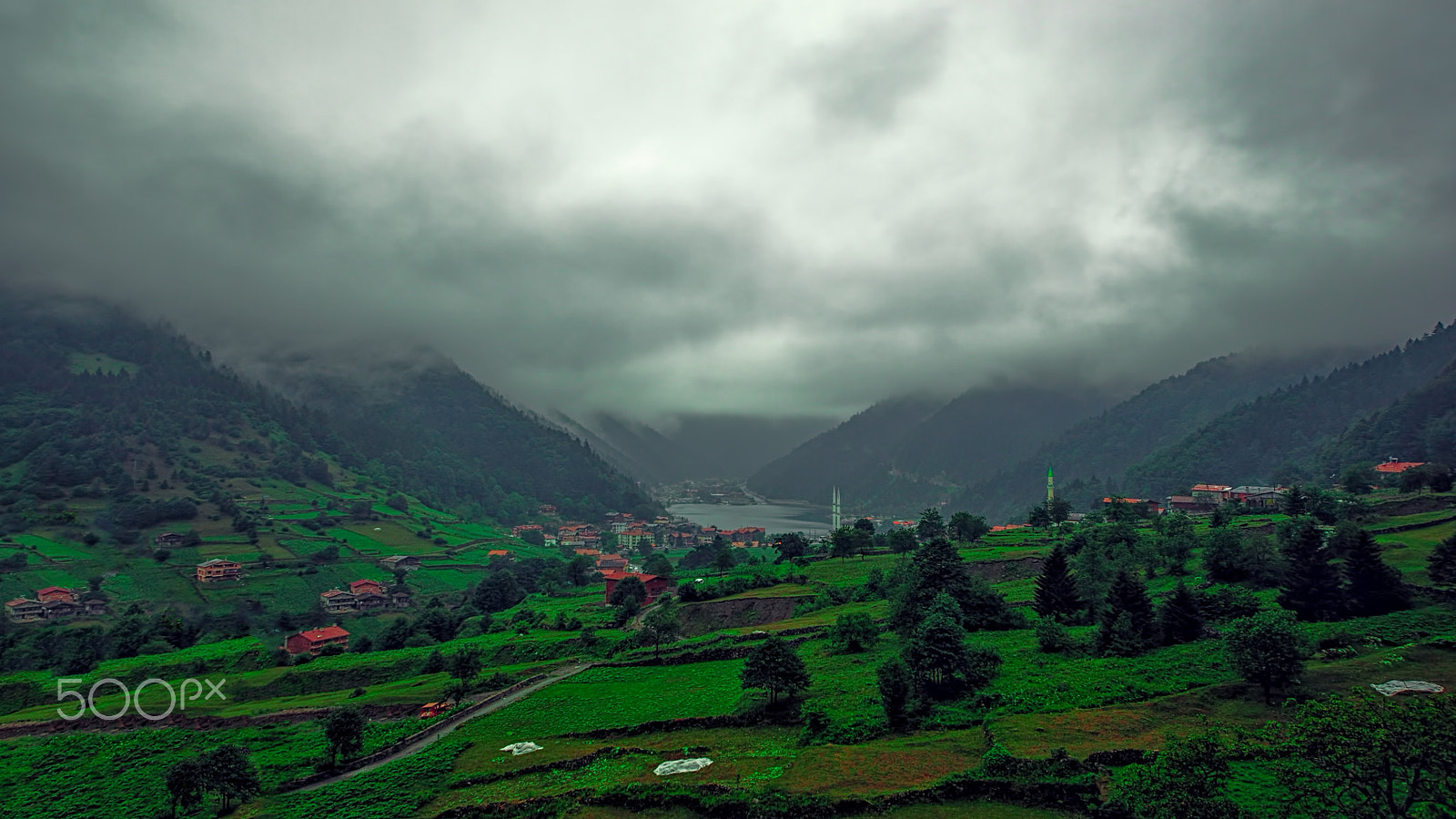 Nikon D90 + Sigma 10-20mm F3.5 EX DC HSM sample photo. Deep green shades of nature photography