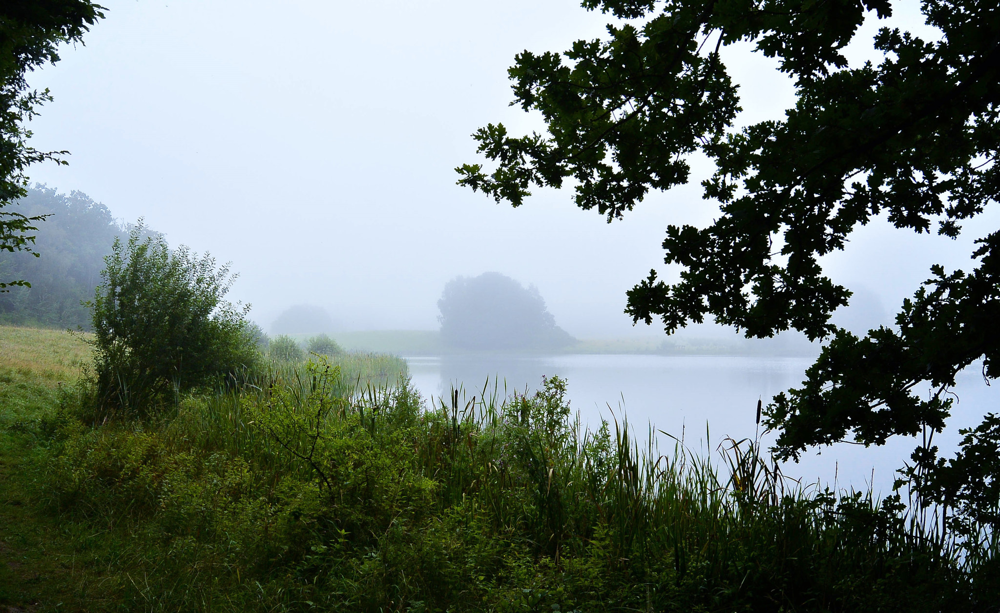 Nikon 1 S1 sample photo. The lake... photography